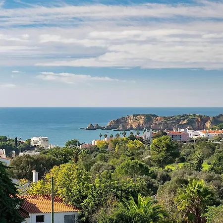 Luxury T2 With Ocean View And Pool * Bicas